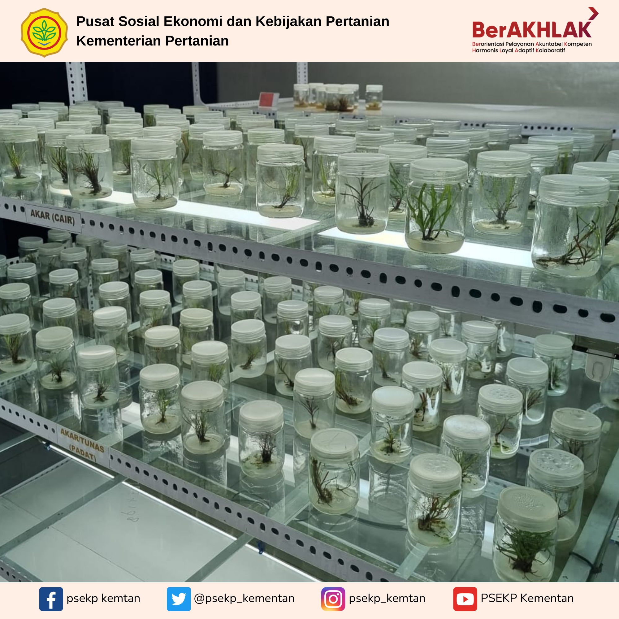 Tim Analisis Kebijakan PSEKP Tinjau Tata Kelola Perbenihan Perkebunan di Jawa Timur