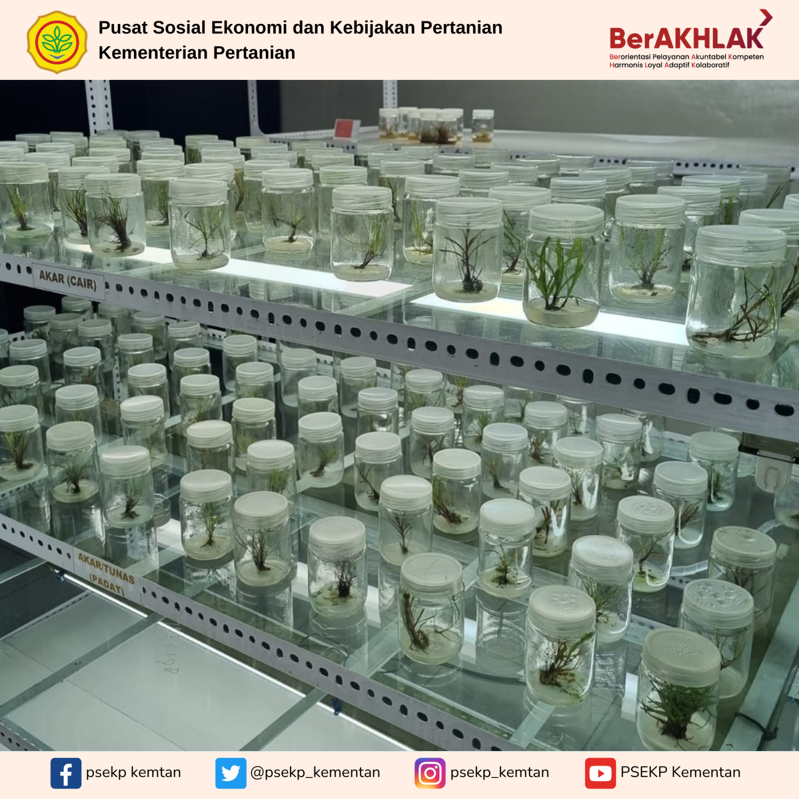 Tim Analisis Kebijakan PSEKP Tinjau Tata Kelola Perbenihan Perkebunan di Jawa Timur
